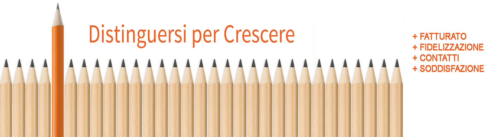 Distiguersi per Crescere